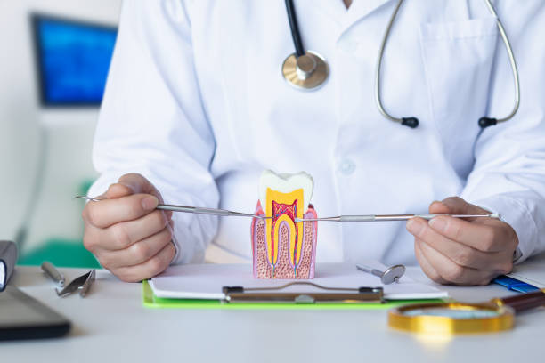 Best Emergency Root Canal Treatment in Weston, FL